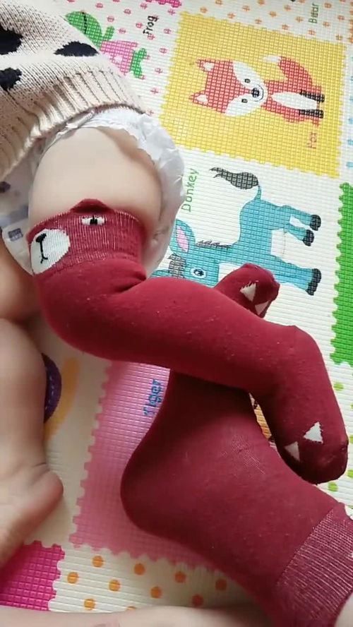 這個(gè)襪子買的值